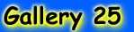 Interventional Physicians