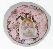 Miki Mouse - L'Immacolata