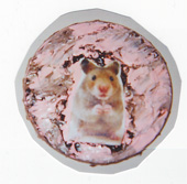Miki Mouse - L'Immacolata