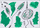 HALLUCINOGENIC LEAVES